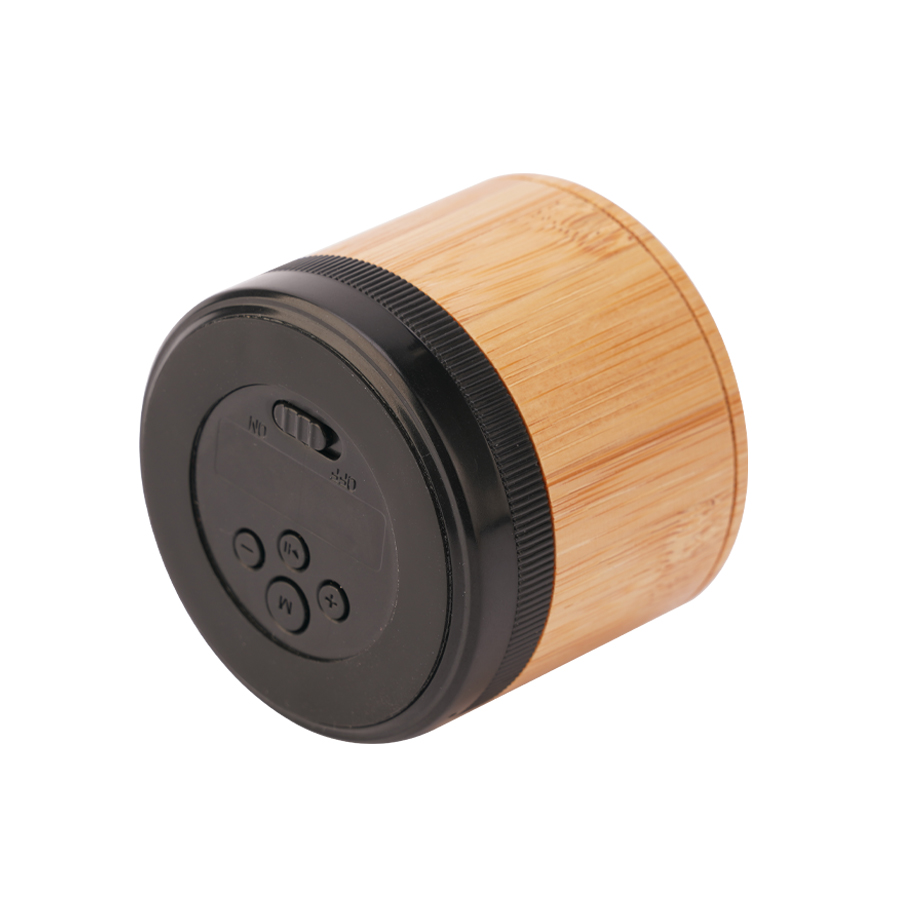 BT0019W Speaker